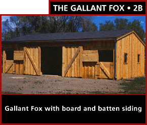 The Gallant Fox 2B